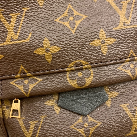 Louis Vuitton Palm Spring Mini - Picture 5 of 7